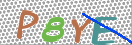 Immagine CAPTCHA