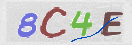Immagine CAPTCHA