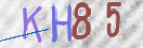 Imagen CAPTCHA