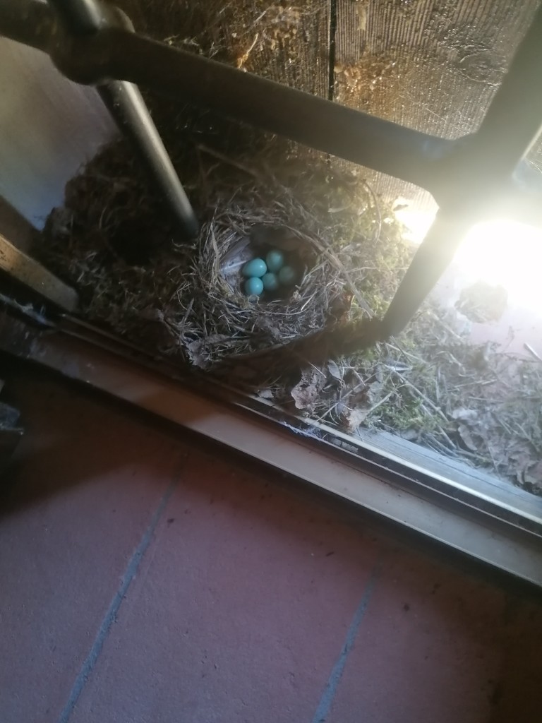 IMG_20220611_134223_resized_20221003_015121124